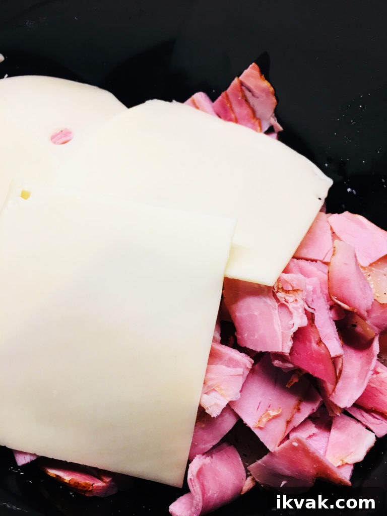 swiss cheese and ham