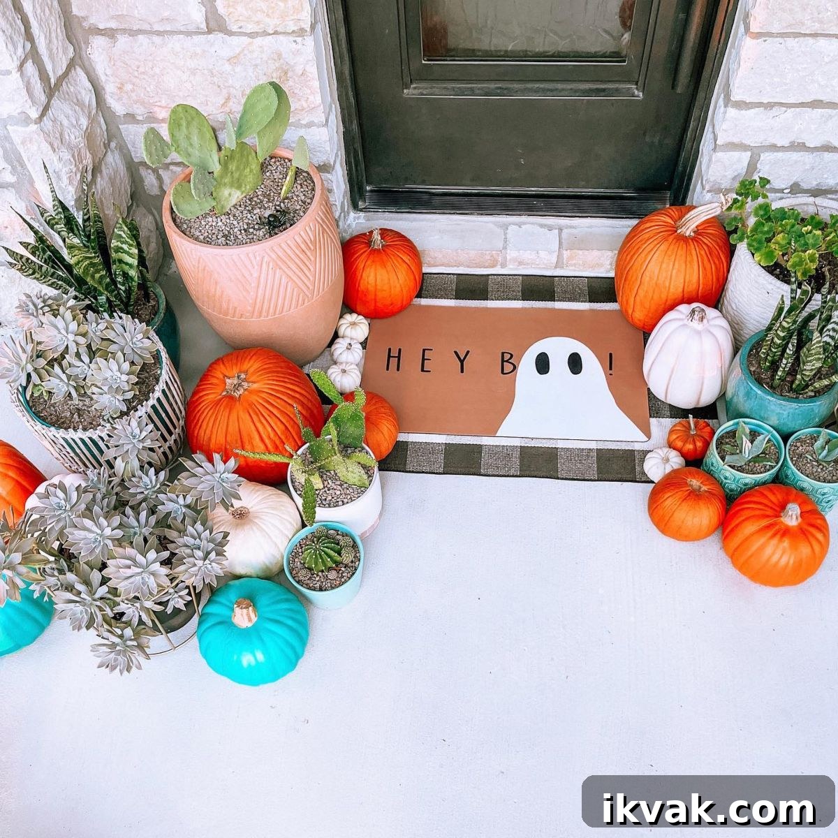 Succulents in Pots