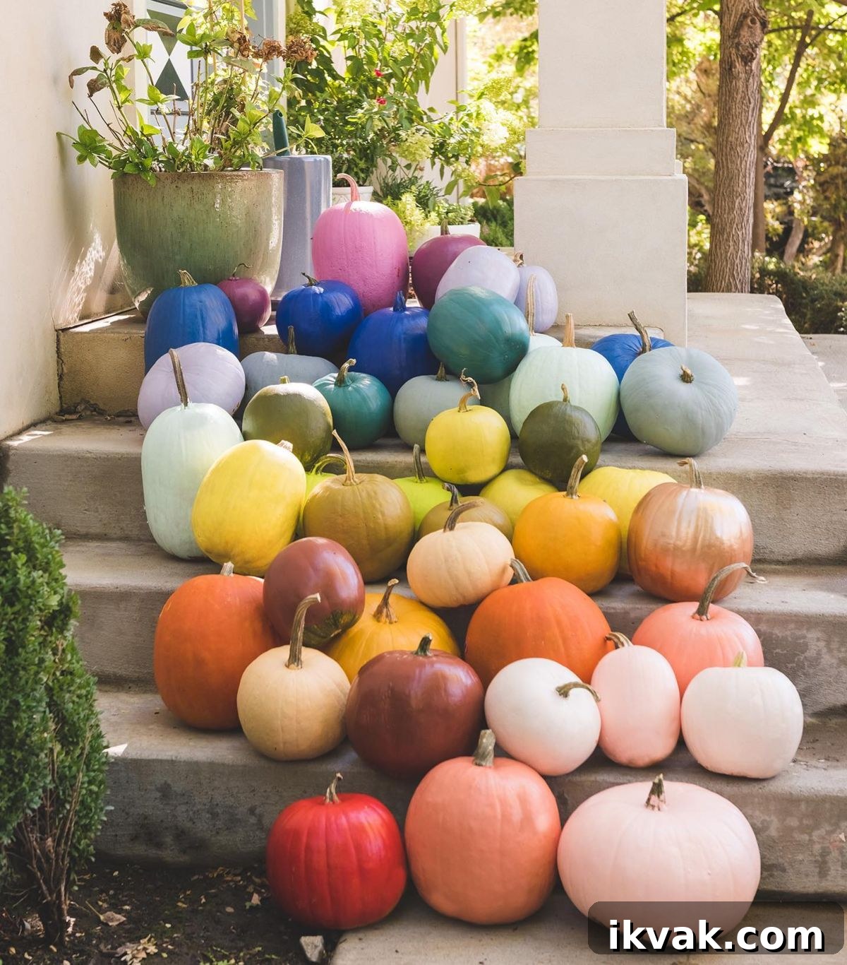 Rainbow Pumpkins