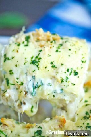chicken Alfredo lasagna