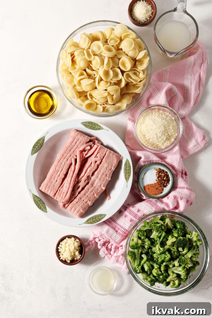 Orecchiette with Ground Turkey and Broccoli — Quick Weeknight Pasta 3 Ingredients in bowls to make ground turkey pasta with broccoli on a marble surface with a pink linen