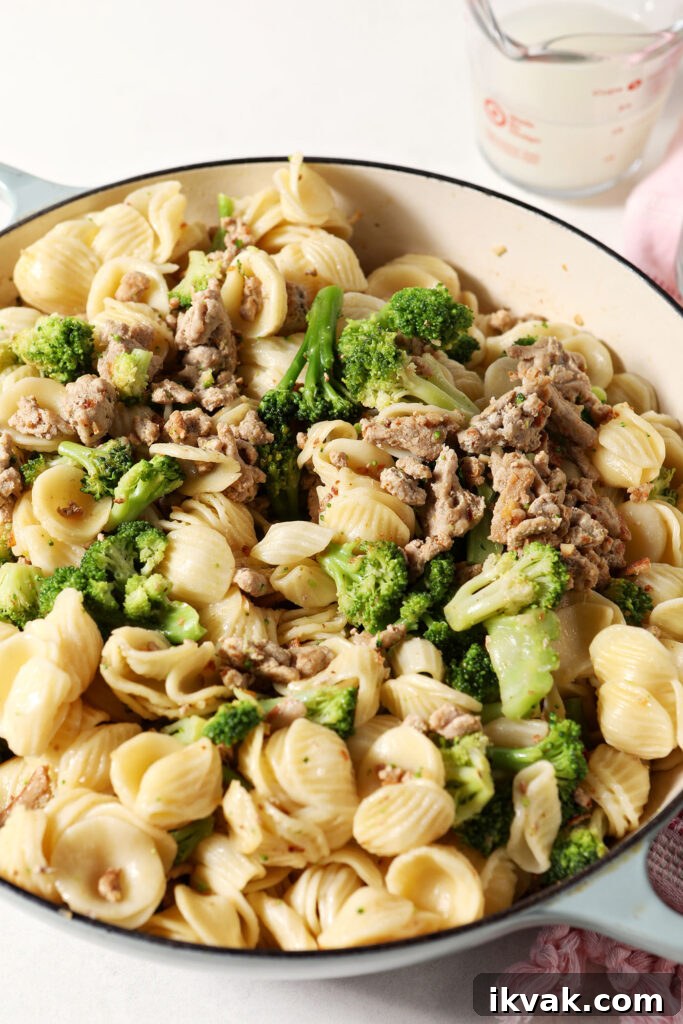 Orecchiette with Ground Turkey and Broccoli — Quick Weeknight Pasta 5 Broccoli, turkey and pasta in a pot after mixing