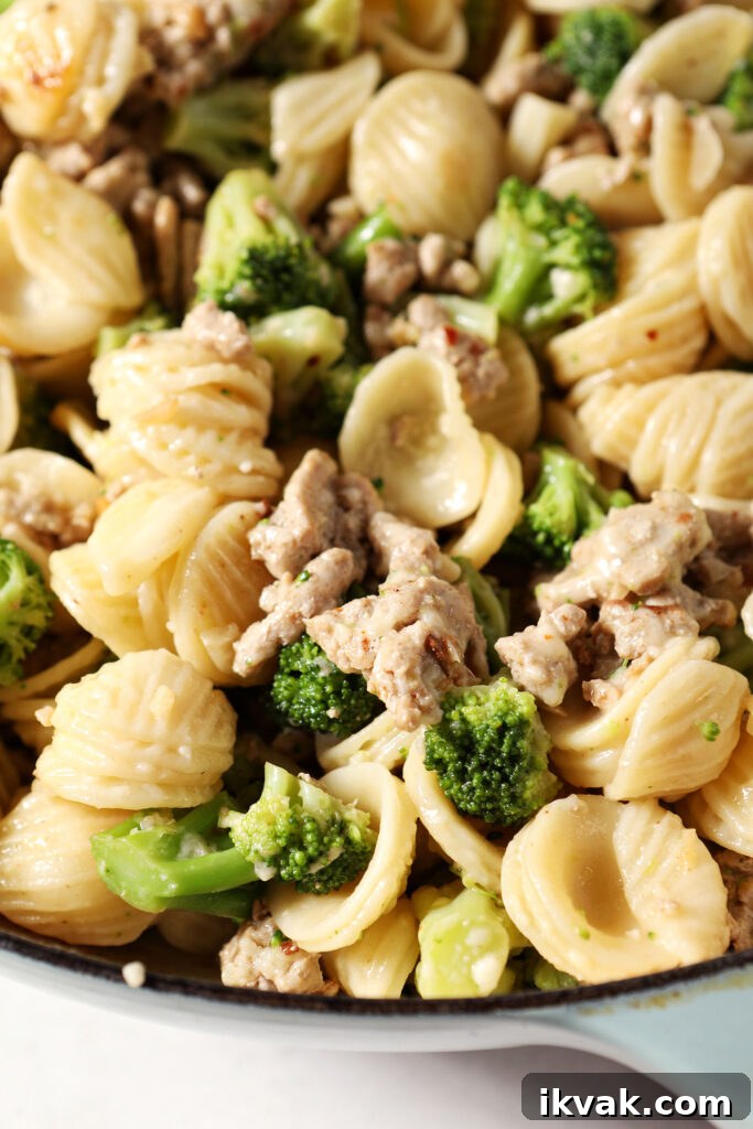 Orecchiette with Ground Turkey and Broccoli — Quick Weeknight Pasta 6 Close up of Ground Turkey Broccoli Pasta in a pan before serving