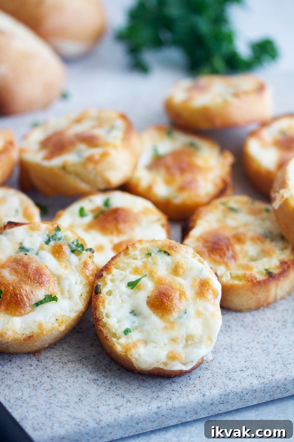 Cheesy garlic bread rounds