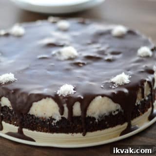 A chocolate bounty cake on a plate, with coconuts
