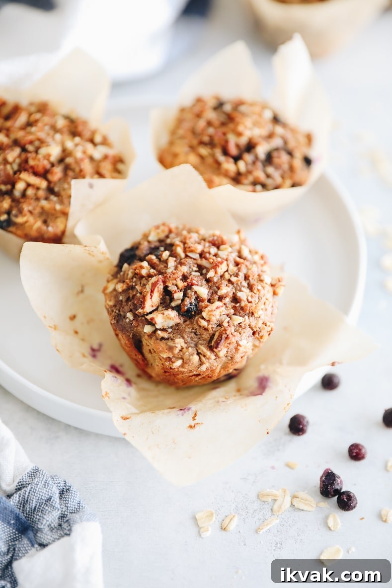 Blueberry Oat Muffins with Oats and Honey Crumble 2 img 3277 1