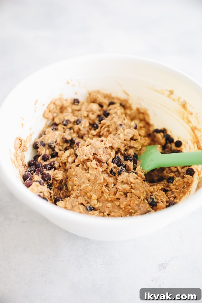 Blueberry Oat Muffins with Oats and Honey Crumble 5 img 3277 4