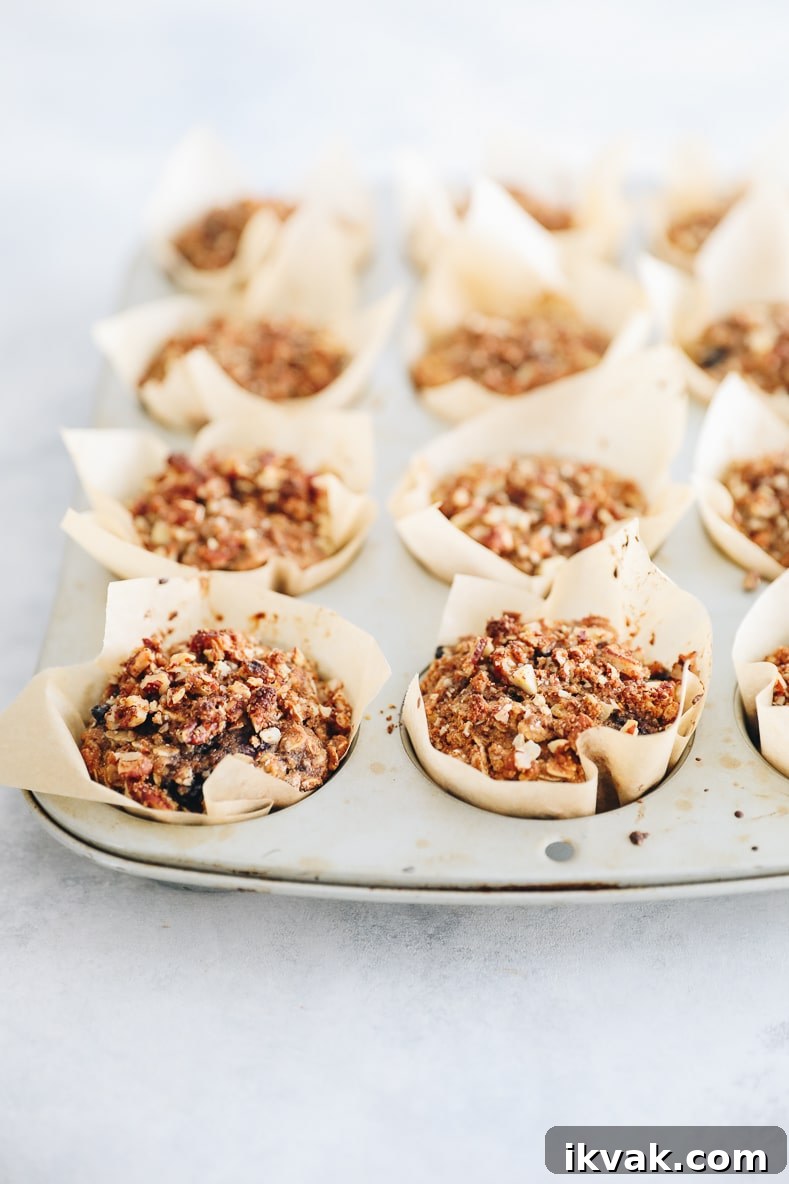 Blueberry Oat Muffins with Oats and Honey Crumble 6 Baked Blueberry Oatmeal Muffins in a muffin tin