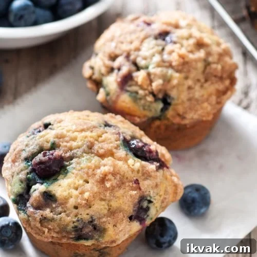 Old Fashioned Blueberry Muffins on a plate.