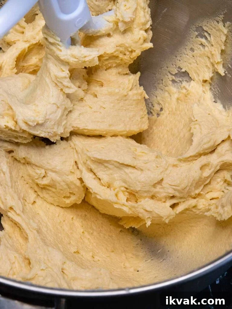 Final cookie dough with the flour added.