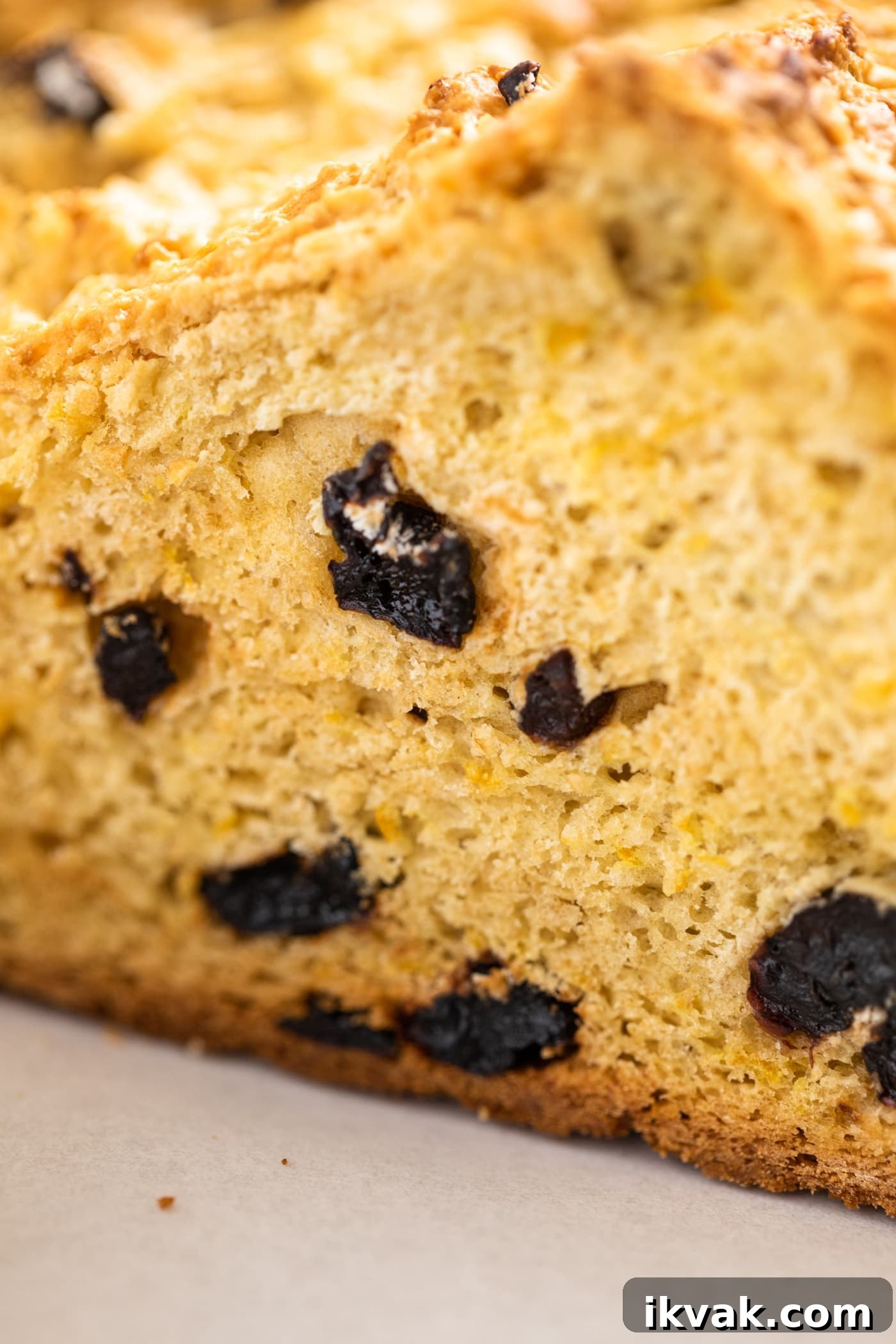 Orange Cherry Irish Soda Bread Recipe for Zesty Homemade Loaf 4 Close up view of inside of Irish soda bread dotted with pieces of dried cherry and orange zest sitting on white piece of parchment