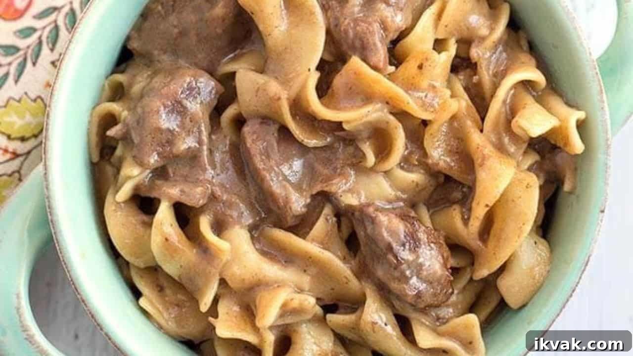 Instant Pot Beef and Noodles