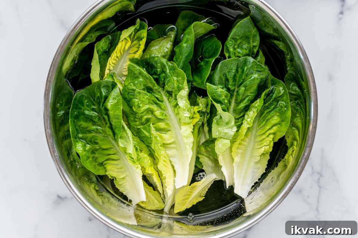 Crisp Little Gem Lettuce Salad with Lemon Vinaigrette 4 washing Little Gem Lettuce in a large stainless steel bowl full of water.
