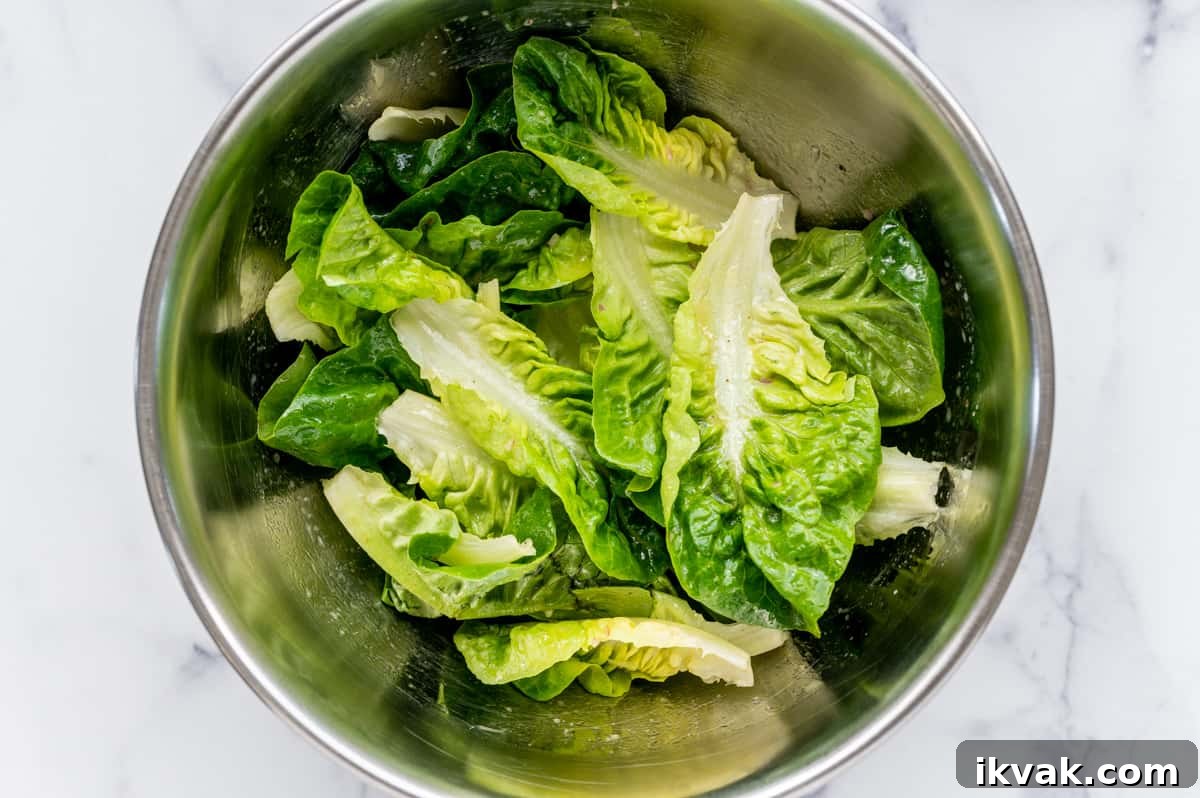 Crisp Little Gem Lettuce Salad with Lemon Vinaigrette 6 dressed little gem lettuce ready to transfer to serving bowl or platter