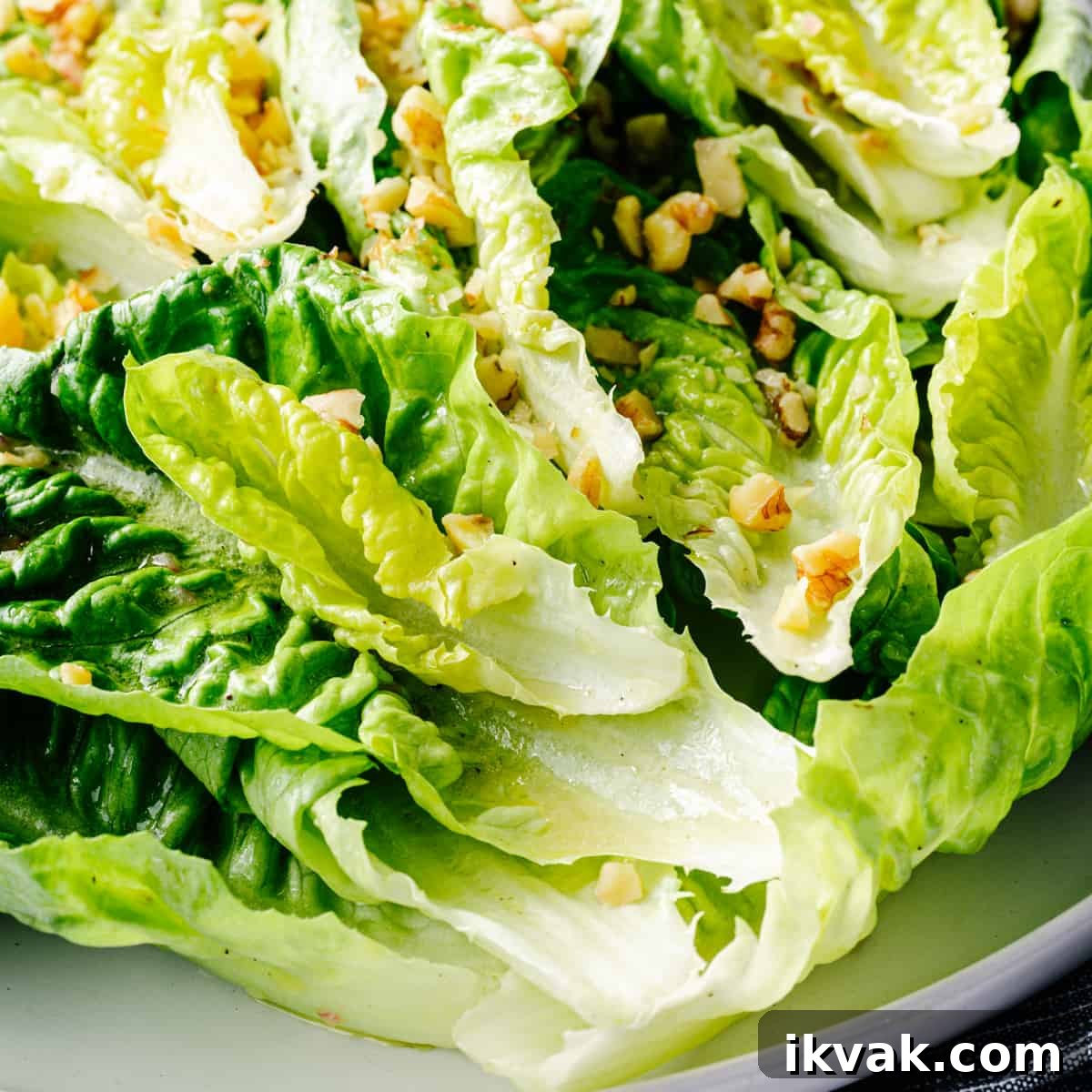 Crisp Little Gem Lettuce Salad with Lemon Vinaigrette 7 Little Gem Salad served on a white platter.