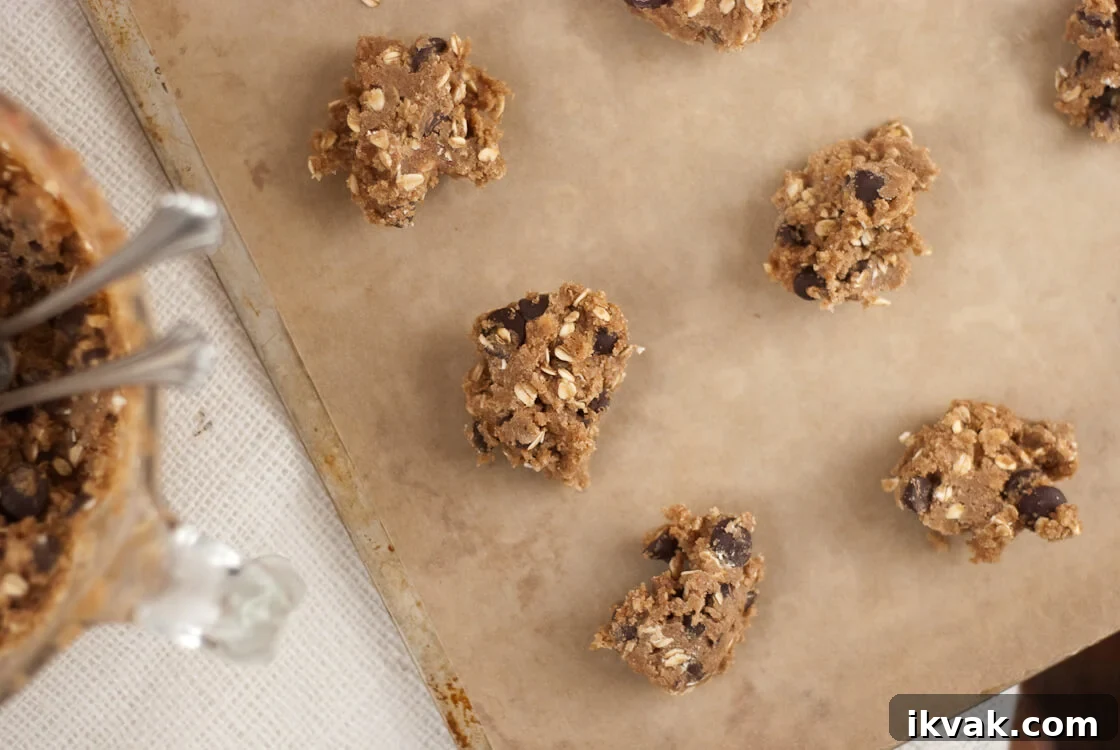 whole wheat chocolate chip cookie dough