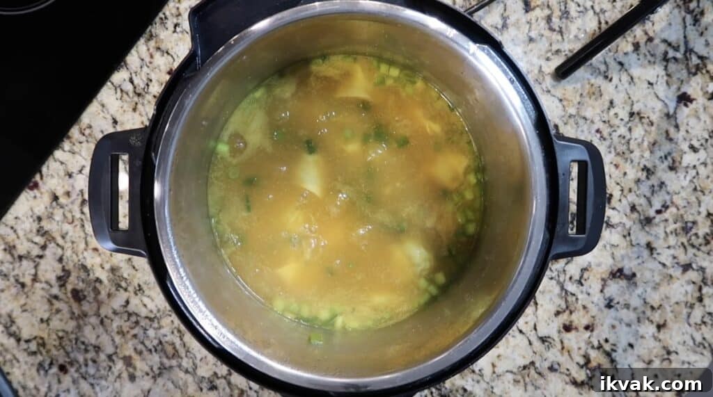 Thickened soup with the heat turned off and the bubbles dying down.