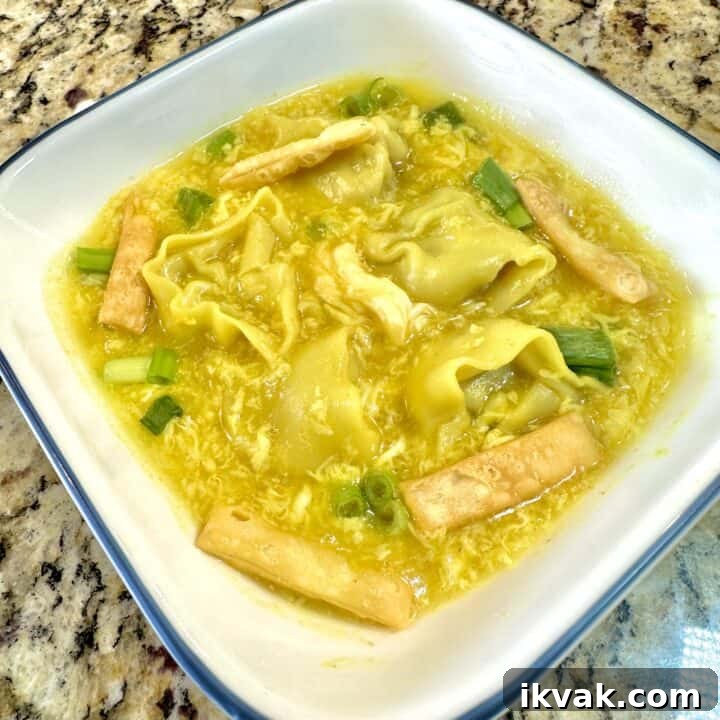 Egg Drop Wonton Soup