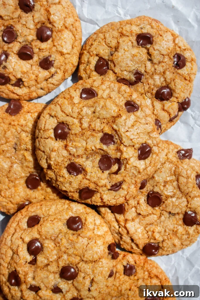 Crispy Graham Cracker Chocolate Chip Cookies 2 Graham cracker chocolate chip cookies