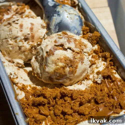 Crispy Graham Cracker Chocolate Chip Cookies 11 No churn biscoff ice cream