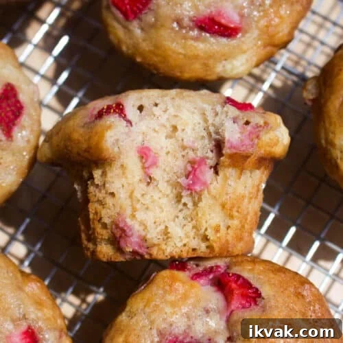 Crispy Graham Cracker Chocolate Chip Cookies 12 Strawberry cottage cheese muffins
