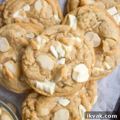 Crispy Graham Cracker Chocolate Chip Cookies 13 White chocolate macadamia cookies