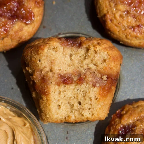 Crispy Graham Cracker Chocolate Chip Cookies 14 Peanut butter jelly muffins