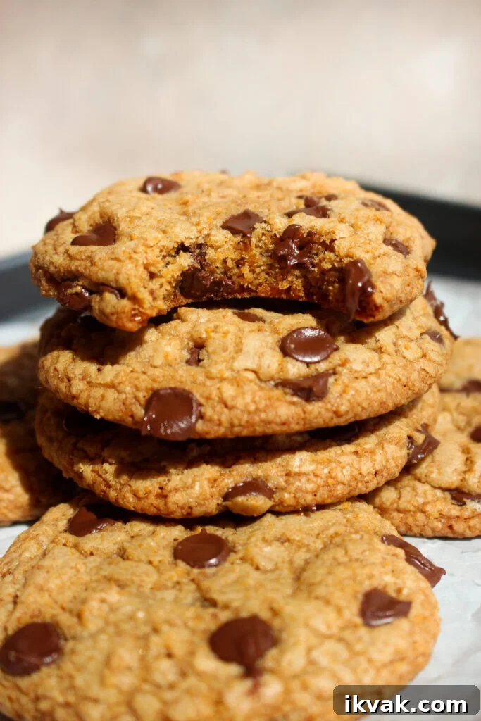 Crispy Graham Cracker Chocolate Chip Cookies 3 Baked cookies on a tray