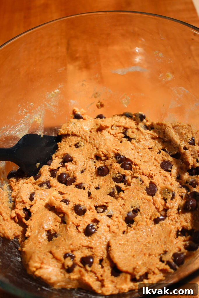 Crispy Graham Cracker Chocolate Chip Cookies 7 Cookies on baking tray