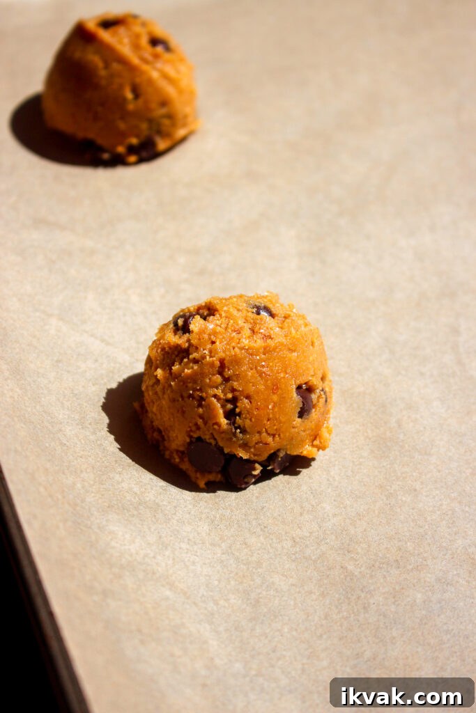 Crispy Graham Cracker Chocolate Chip Cookies 8 Golden-brown cookies close up