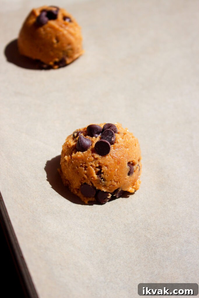 Crispy Graham Cracker Chocolate Chip Cookies 9 Stack of cookies