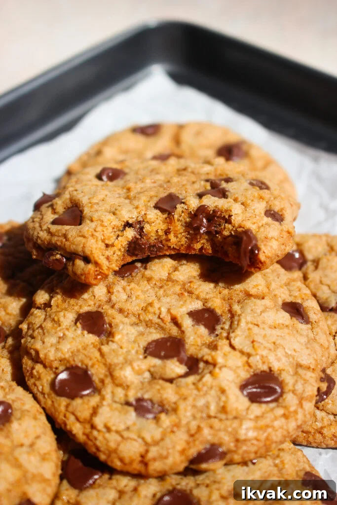 Crispy Graham Cracker Chocolate Chip Cookies 10 Plate of cookies ready to eat