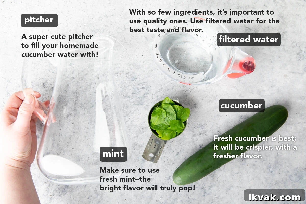 Cucumber Water recipe ingredients laid out on a table, including cucumber, mint, and filtered water