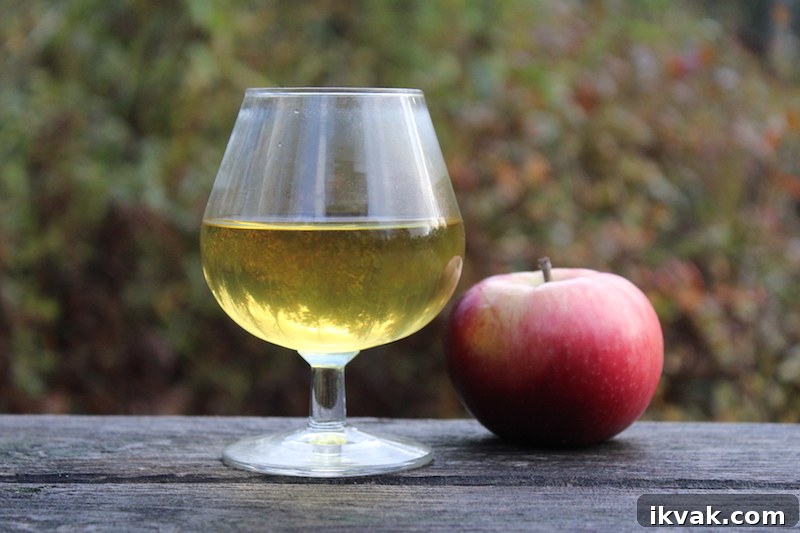Finished Hard Cider