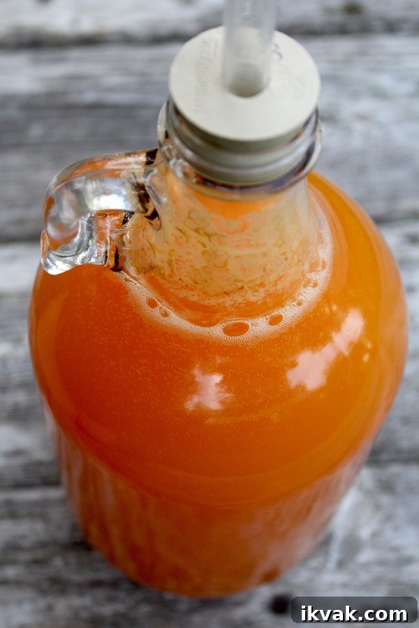 Fermenting Hard Cider