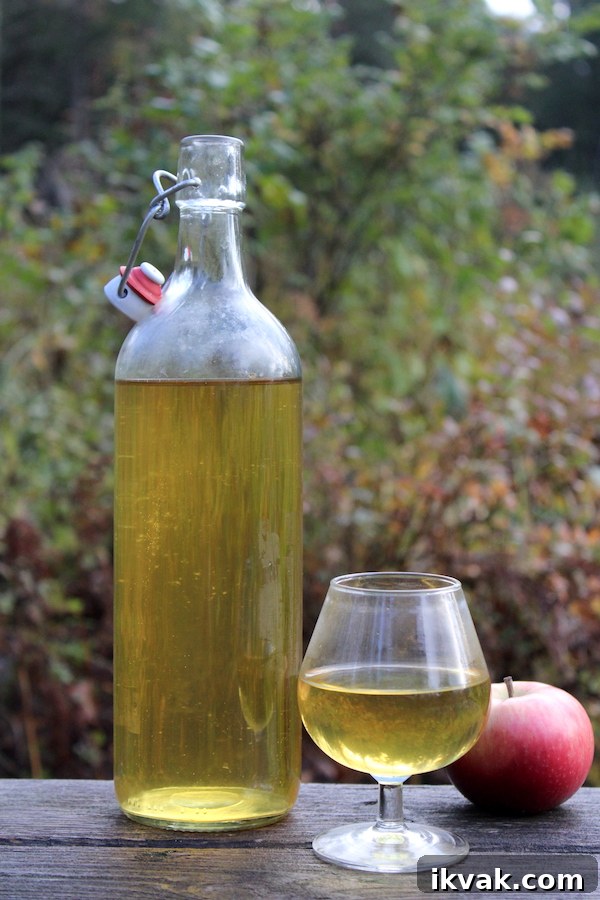 How to Make Hard Cider at Home
