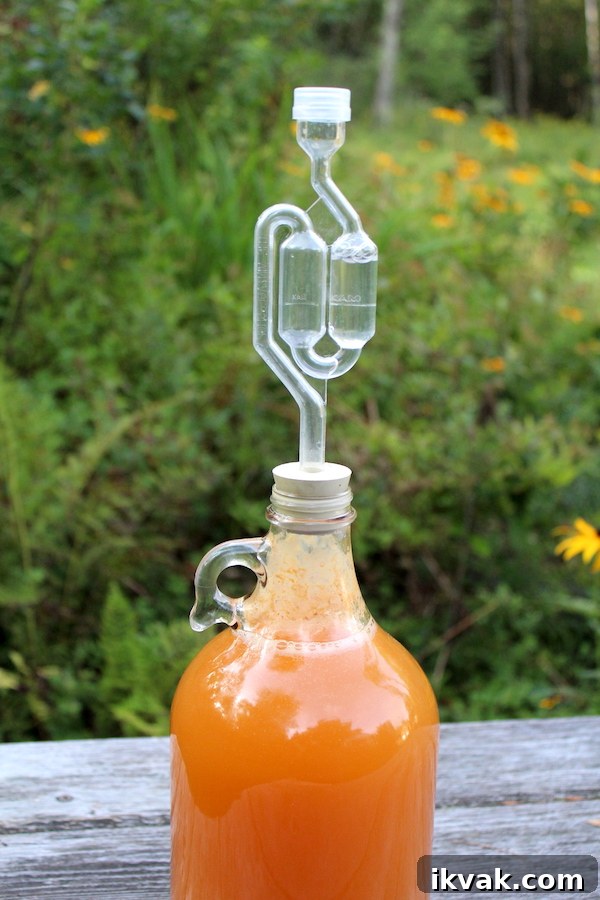 Homemade Hard Cider