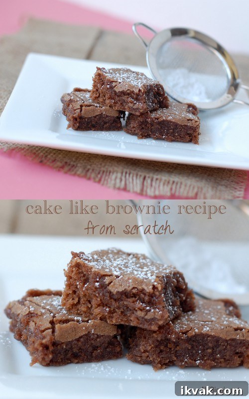 cake like brownie recipe from scratch | NoBiggie.net