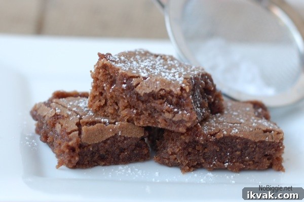 simple brownie recipe from scratch | NoBiggie.net