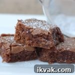 simple brownie recipe | NoBiggie.net