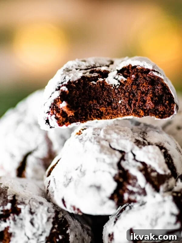 Cookies on a platter with a bite taken out of one cookie.
