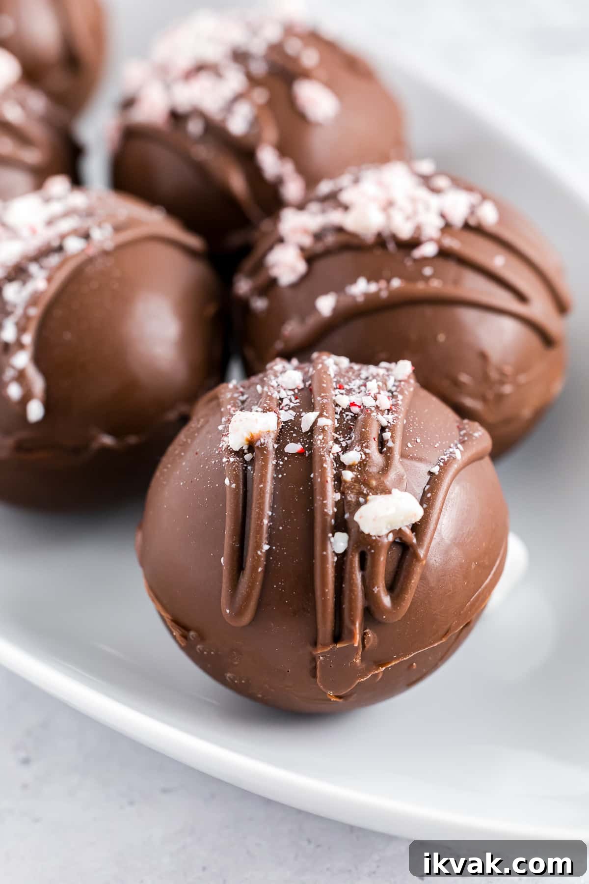 DIY Hot Cocoa Bombs Recipe: How to Make Chocolate-Filled Cocoa Bombs 2 easy cocoa bombs recipe on a white plate