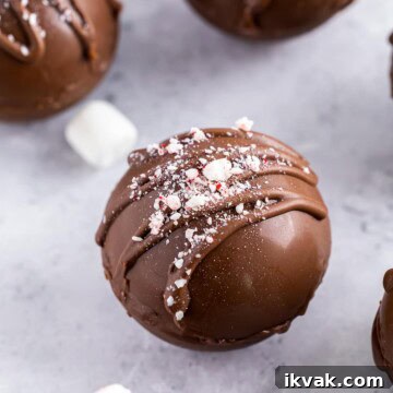 DIY Hot Cocoa Bombs Recipe: How to Make Chocolate-Filled Cocoa Bombs 10 img 45307 10