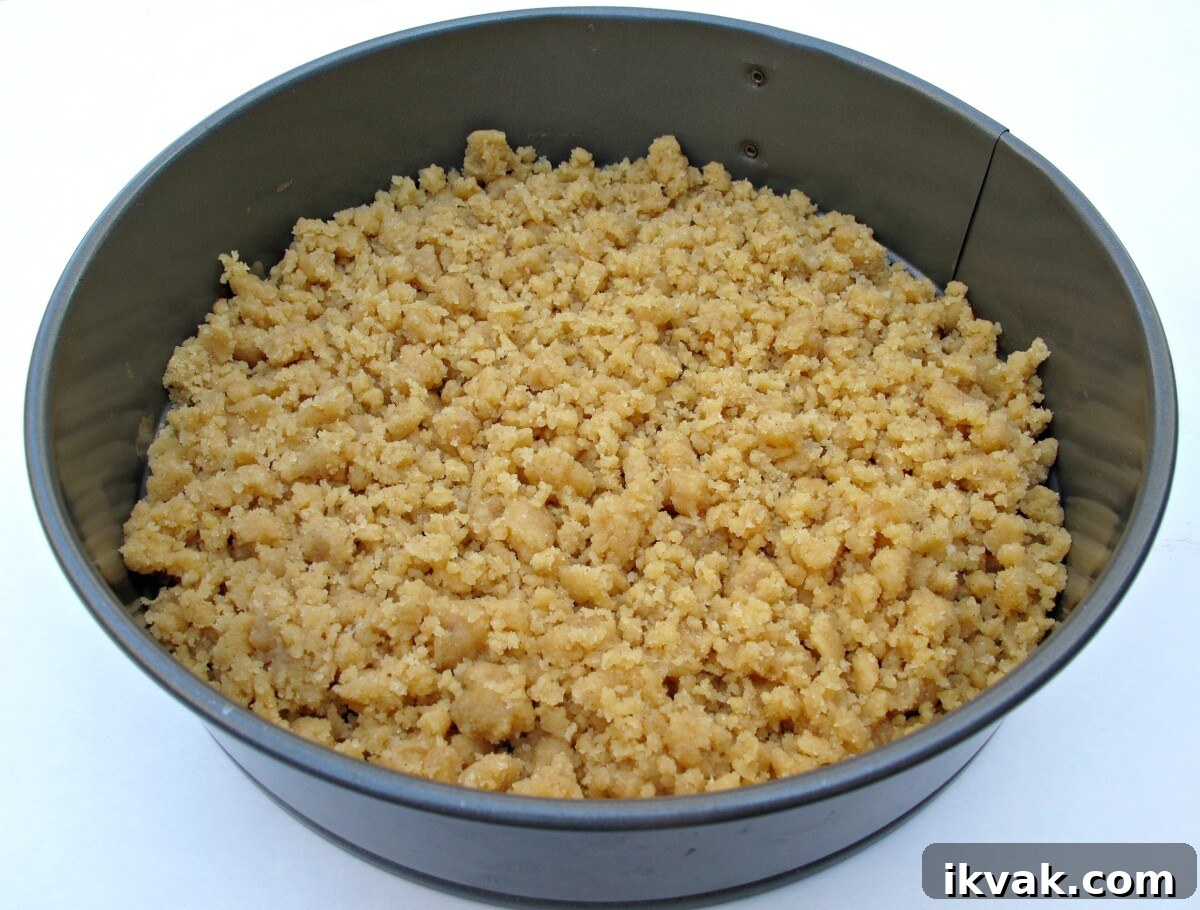 Cinnamon Streusel Cookie Recipe: Crispy, Buttery Bites 4 Streusel crumbs packed into the bottom of a round springform cake pan.