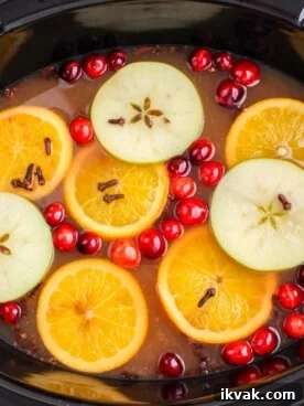 overhead shot of wassail in slow cooker