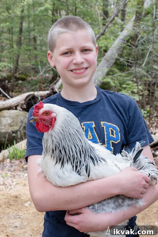 a boy holding a rooster 