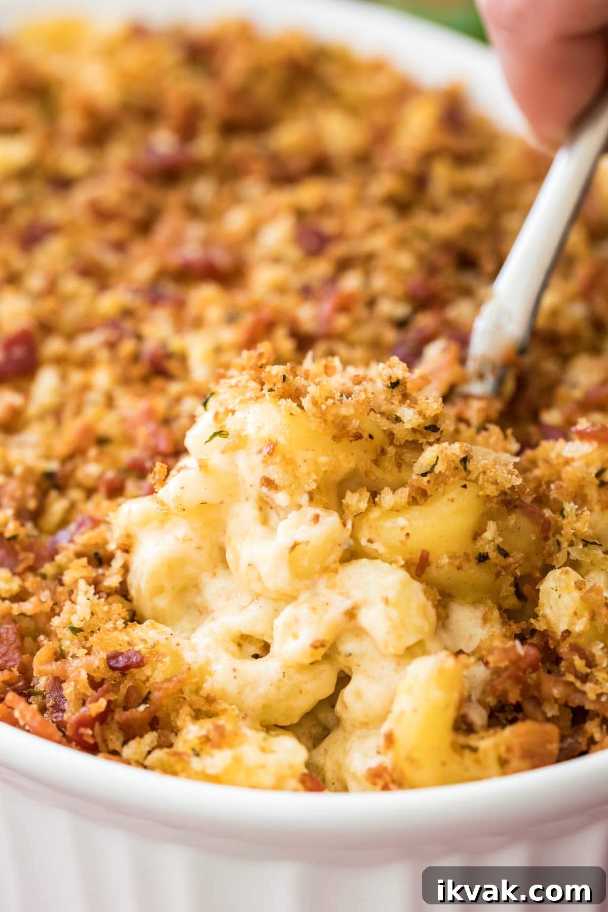 close-up view of bacon mac and cheese topped with crispy panko in white casserole dish