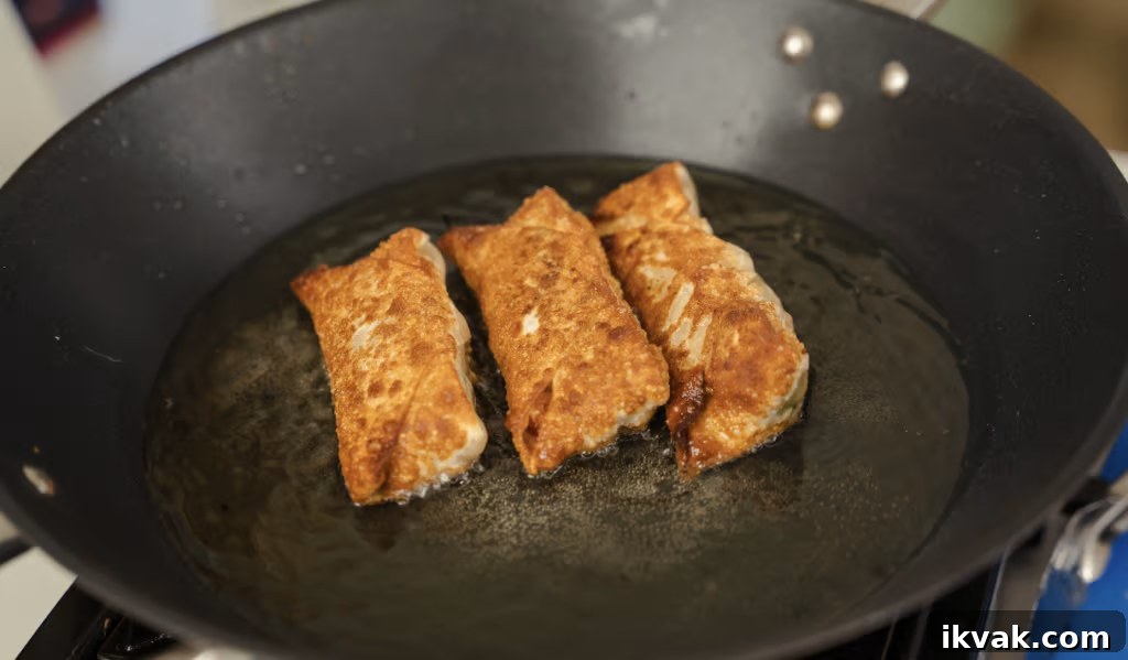 Hoisin Chicken Egg Rolls Recipe for Crispy Homemade Wraps 4 img 4901 6