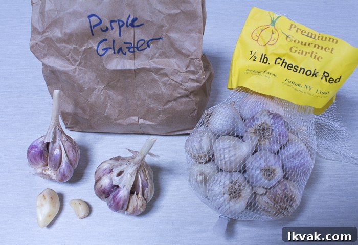 Fresh garlic from The Hudson Garlic Festival!
