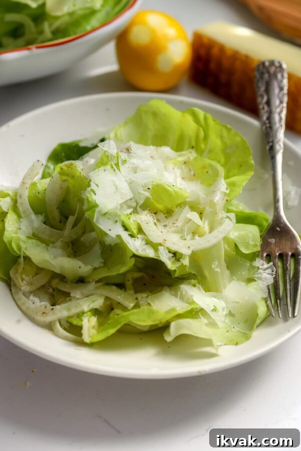 Green fresh butter lettuce with fennel and parm shavings.